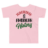 Juneteenth is American History - Toddlers